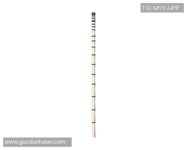 2025年全球足球球星第一梯队排名解析及球员表现综述