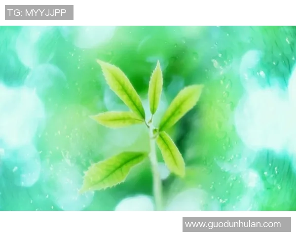 充满活力的绿色背景下足球球星高清唯美个性手机壁纸精选