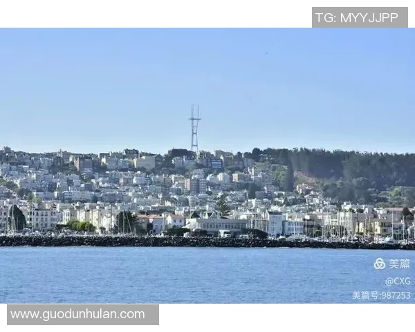 巨蟹座球星在足球赛场上的非凡表现与独特魅力分析